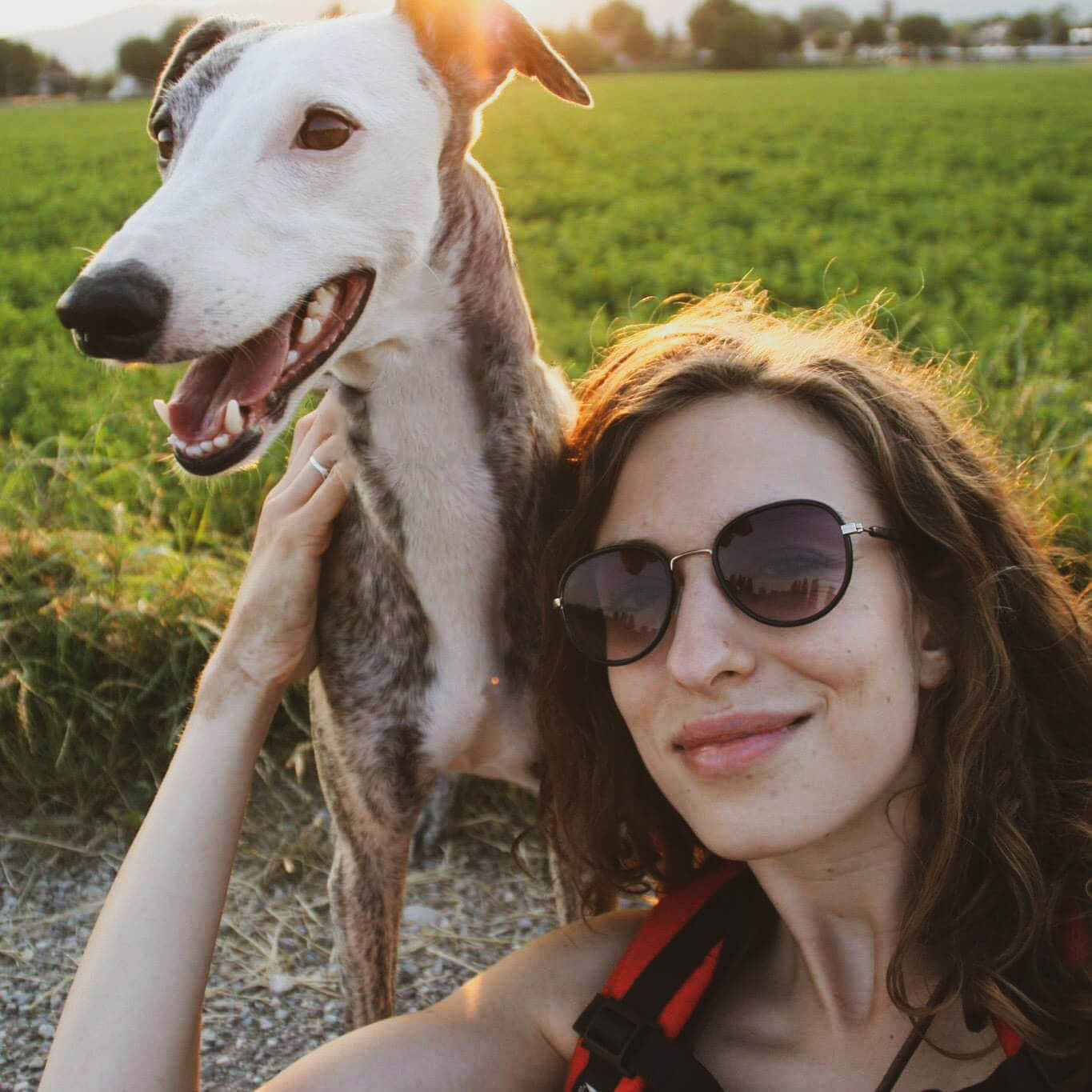 Hundeschule_hundefragen_Trainerin_Fru_Hundeschule_Wien