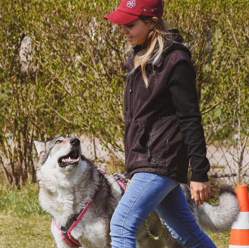 Hundeschule_hundefragen_Wien_1220-Hundetrainerin-Meli-2