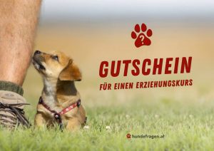 Hundeschule_hundefragen_Gutschein_Muster