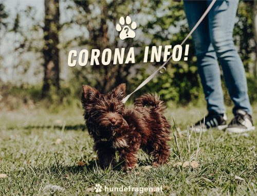 Corona Info 20.05.2021